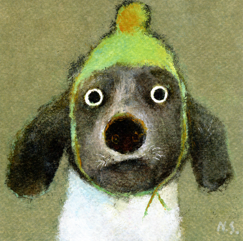 Dog woolly hat