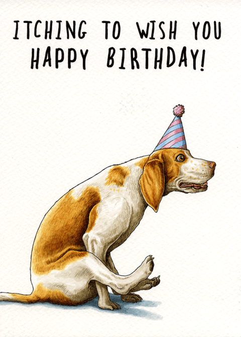 Birthday CardBewilderbeestComedy Card CompanyItching to wish you Happy Birthday