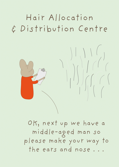 Birthday CardComedy Card CompanyComedy Card CompanyHair allocation