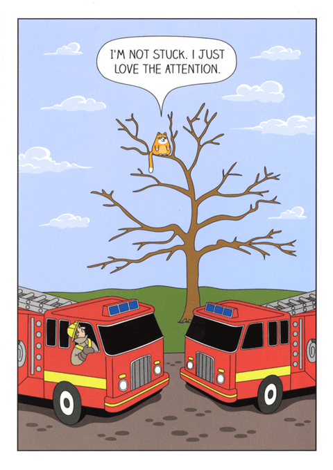 Birthday CardGreat British Card CompanyComedy Card CompanyCat - Loving the attention
