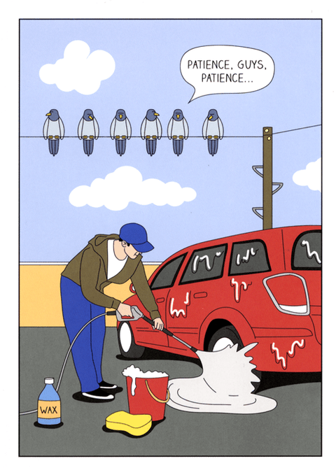 Birthday CardGreat British Card CompanyComedy Card CompanyPigeons and the clean car