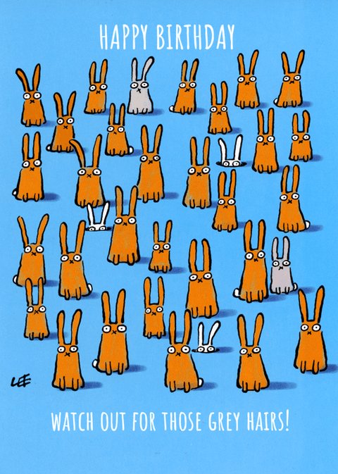 Birthday CardGreat British Card CompanyComedy Card CompanyWatch out for grey hairs