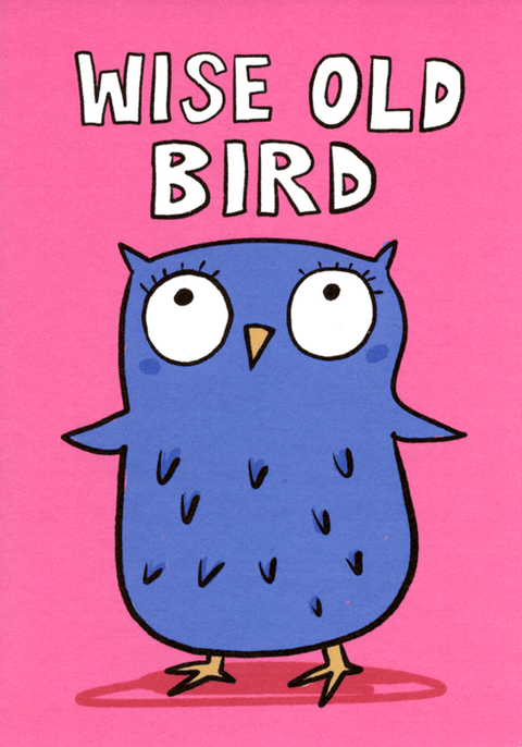 Birthday CardRunning with ScissorsComedy Card CompanyWise Old Bird