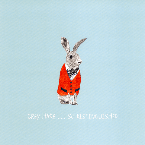 Birthday CardSally ScaffardiComedy Card CompanyGrey hare - distinguished