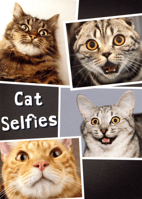 Birthday CardUK GreetingsComedy Card CompanyCat Selfies