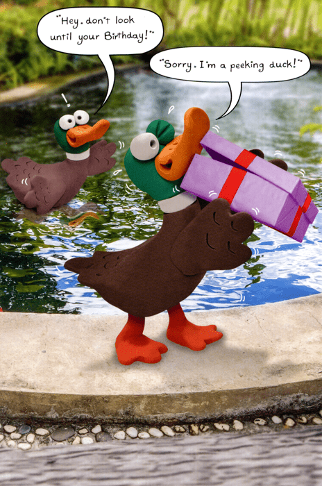 Birthday CardUK GreetingsComedy Card CompanyPeeking Duck
