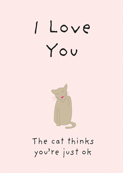 Funny CardsComedy Card CompanyComedy Card CompanyCat thinks you're ok