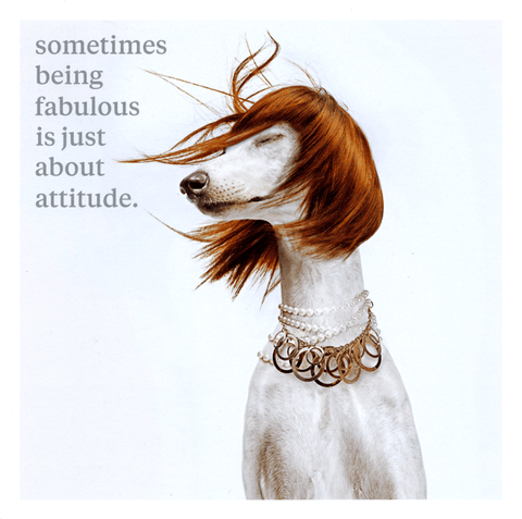 Funny CardsIconComedy Card CompanyBeing Fabulous