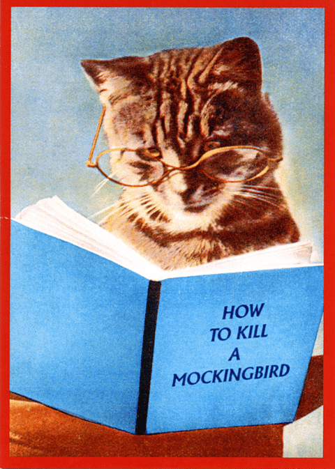 Funny CardsKiss me KwikComedy Card CompanyKill a Mockingbird