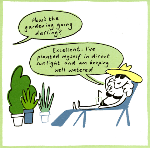 Funny CardsPaperlinkComedy Card CompanyDirect sunlight, well watered