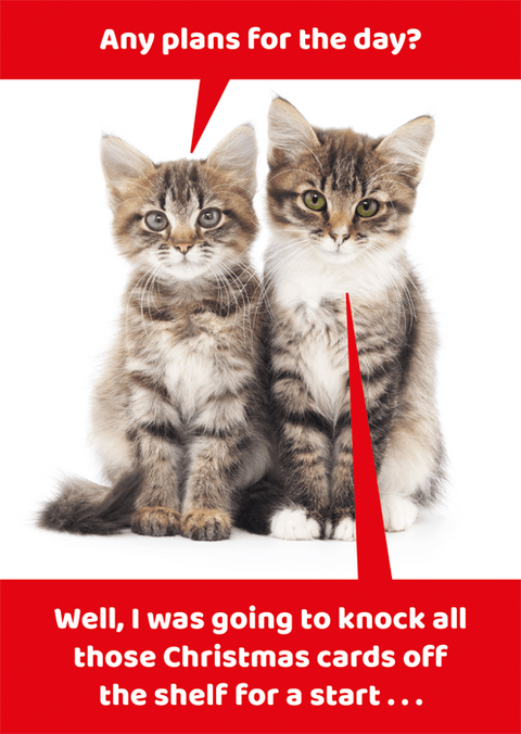 Funny Christmas cardsComedy Card CompanyComedy Card CompanyCat - Christmas plans