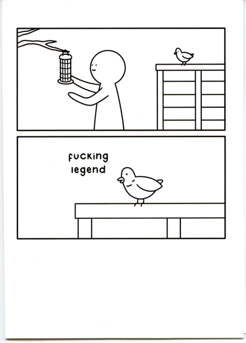 Funny Greeting CardRedbackComedy Card CompanyBird feeder