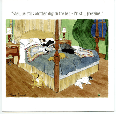 Funny Greeting CardWoodmansterneComedy Card CompanyAnother dog on the bed