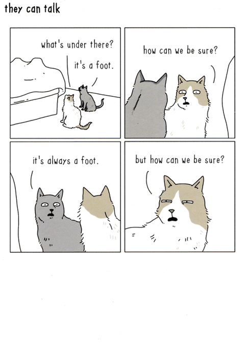 Funny Greeting CardWoodmansterneComedy Card CompanyCat - It's a foot