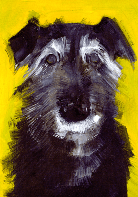 Greeting cardArtpressComedy Card CompanyOld dog