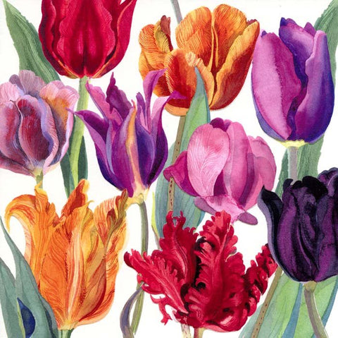 Greeting cardWoodmansterneComedy Card CompanyTulips