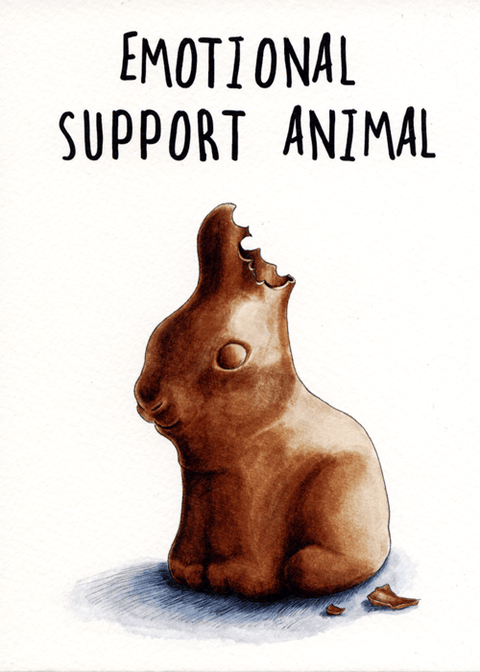 humorous greeting cardBewilderbeestComedy Card CompanyEmotional support animal