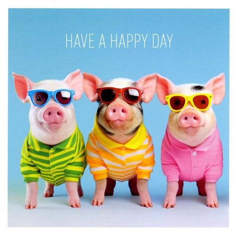 humorous greeting cardIconComedy Card CompanyPiglets