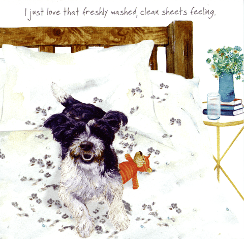 humorous greeting cardLittle Dog LaughedComedy Card CompanyClean sheets
