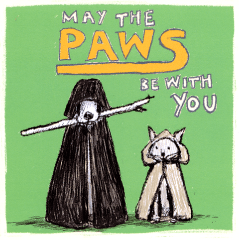 humorous greeting cardPoet and PainterComedy Card CompanyPaws be with you