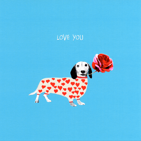 humorous greeting cardSally ScaffardiComedy Card CompanyLove You