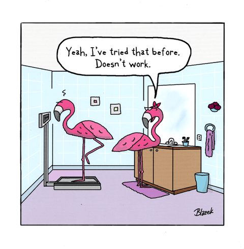 humorous greeting cardWoodmansterneComedy Card CompanyFlamingo