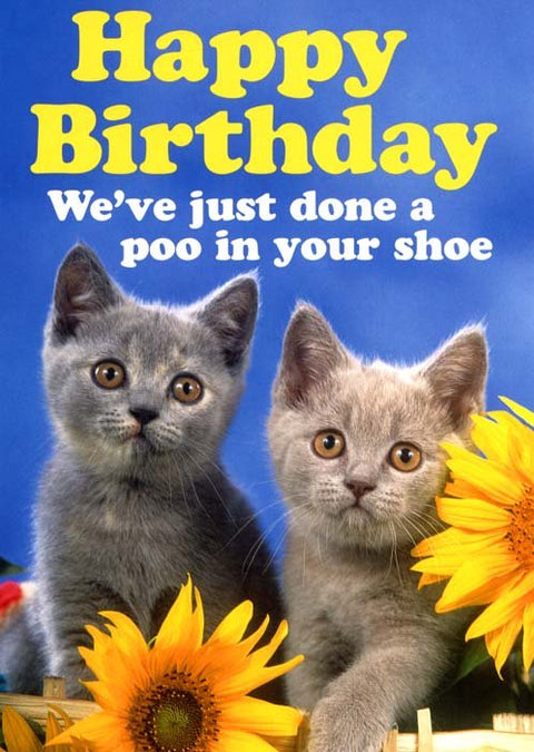 Birthday CardDean MorrisComedy Card CompanyPoo in your shoe