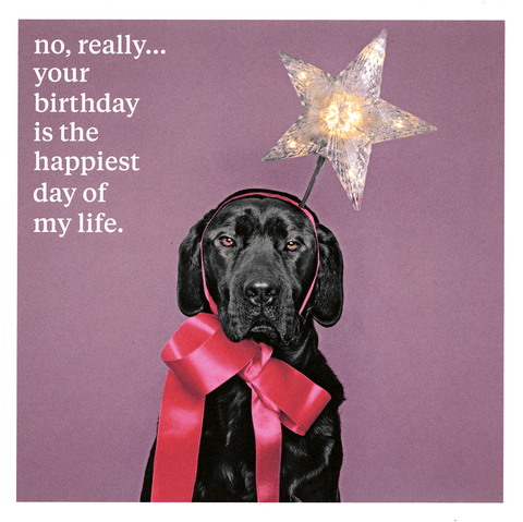 Birthday CardIconComedy Card CompanyYour birthday - happiest day of my life