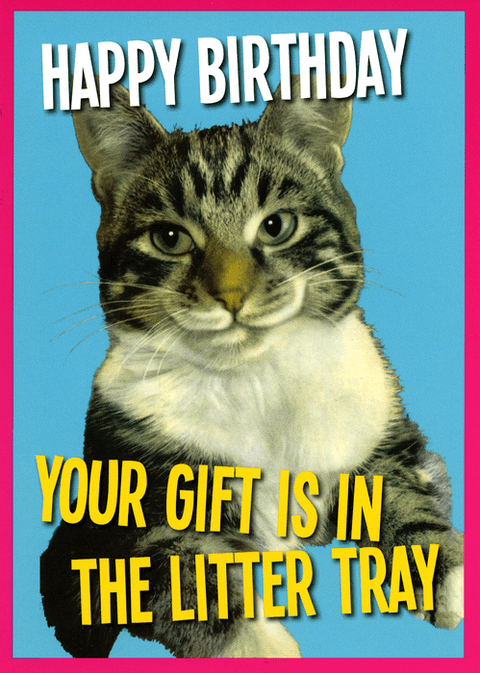 Birthday CardKiss me KwikComedy Card CompanyBirthday gift is in the litter tray