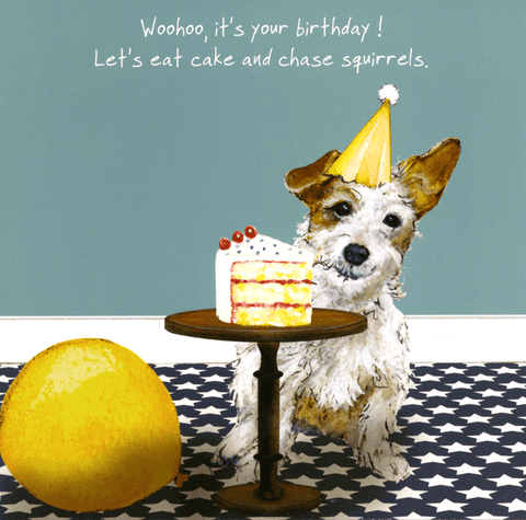 Birthday CardLittle Dog LaughedComedy Card CompanyEat cake and chase squirrels