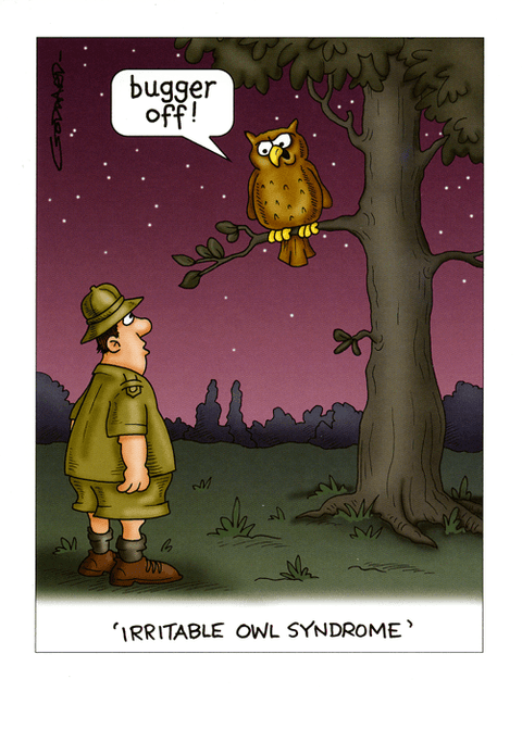 Birthday CardPaperlinkComedy Card CompanyIrritable owl syndrome