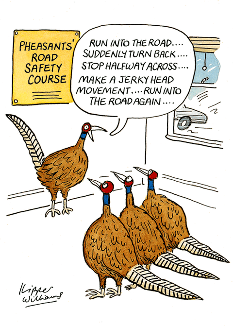 Birthday CardPaperlinkComedy Card CompanyPheasants' Road Safety Course