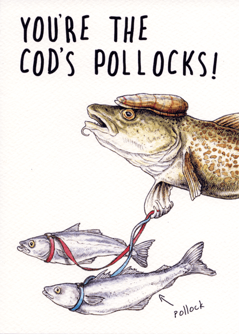 Funny CardsBewilderbeestComedy Card CompanyCod's Pollocks