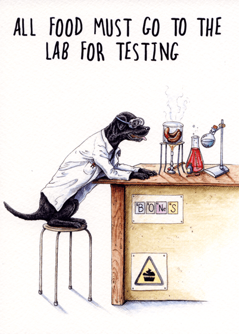 Funny CardsBewilderbeestComedy Card CompanyFood - Lab testing