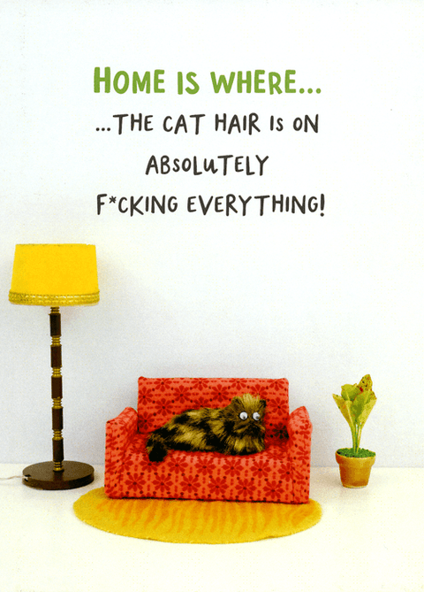 Funny CardsBold & BrightComedy Card CompanyCat hair on everything