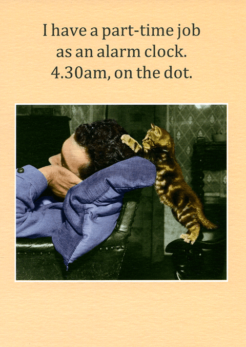 Funny CardsCath TateComedy Card CompanyCat - Job as an alarm clock