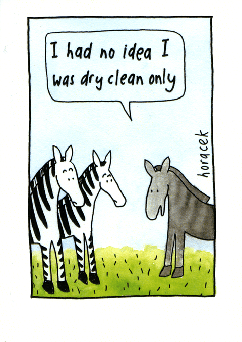 Funny CardsCath TateComedy Card CompanyZebra - Dry clean only