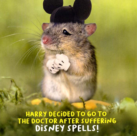 Funny CardsEmotional RescueComedy Card CompanyDisney spells