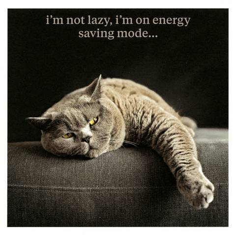 Funny CardsIconComedy Card CompanyCat - Not lazy