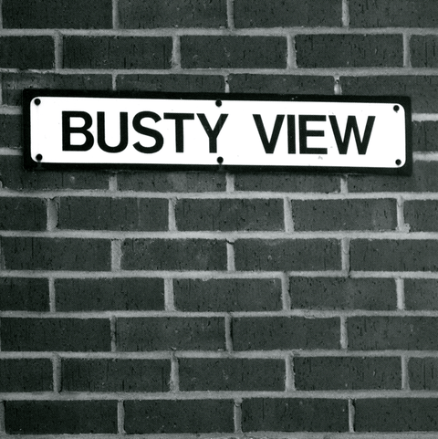 Funny CardsLesser SpottedComedy Card CompanyBusty View