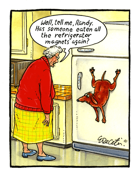 Funny CardsPaperlinkComedy Card CompanyEaten the refrigerator magnets again?