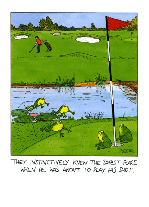 Funny CardsPaperlinkComedy Card CompanyInstinctively knew the safest place