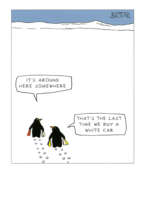 Funny CardsPaperlinkComedy Card CompanyWhite Car