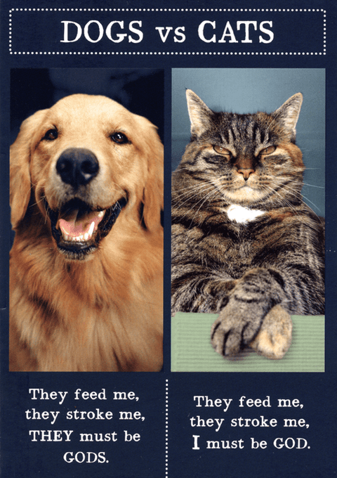 Funny CardsPigmentComedy Card CompanyDogs v Cats