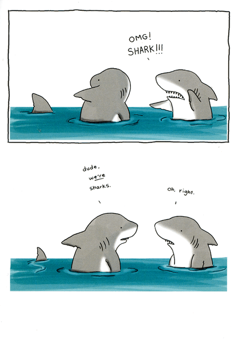 Funny CardsRedbackComedy Card CompanyOMG! Shark!!!