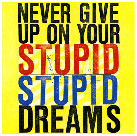 Funny CardsUrban GraphicComedy Card CompanyNever give up on your stupid stupid dreams