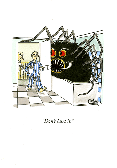 Funny CardsWoodmansterneComedy Card CompanySpider in the bath - Don't hurt it