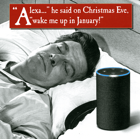 Funny Christmas cardsEmotional RescueComedy Card CompanyAlexa - wake me in January