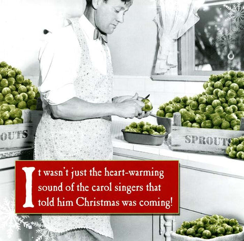 Funny Christmas cardsEmotional RescueComedy Card CompanyChristmas was coming