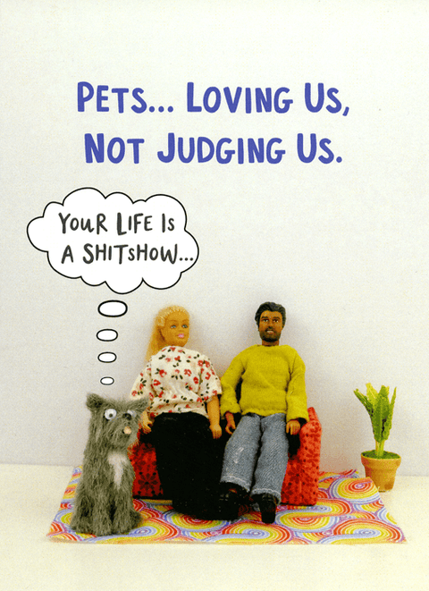 humorous greeting cardBold & BrightComedy Card CompanyPets judging us